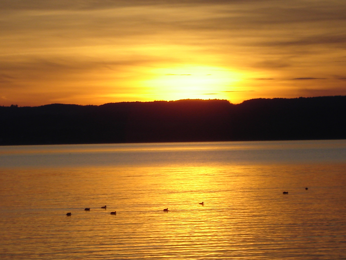 - Feuer über dem Ammersee bei Herrsching in Oberbayern - Nov. 2oo6 - nur ein Sonnenuntergang -