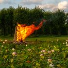 Feuer über dem Lotosblütensee