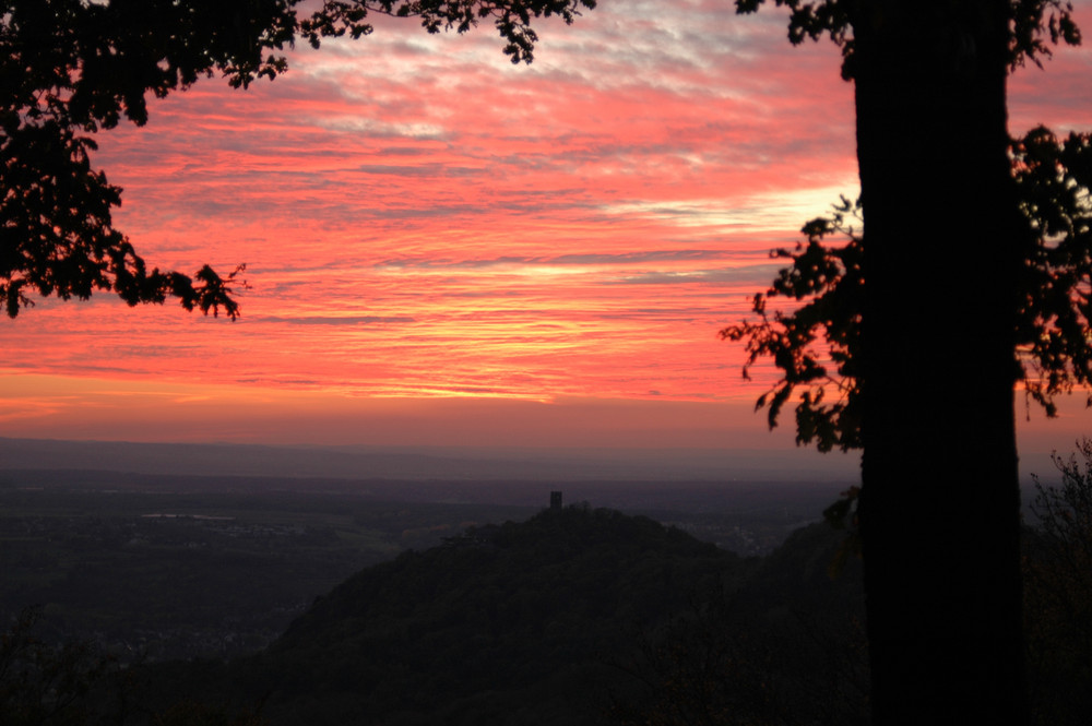 Feuer über dem Siebengebirge