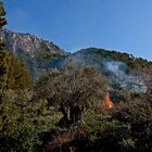 Feuer überall auf der Insel