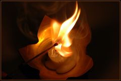 Feuer und Flamme