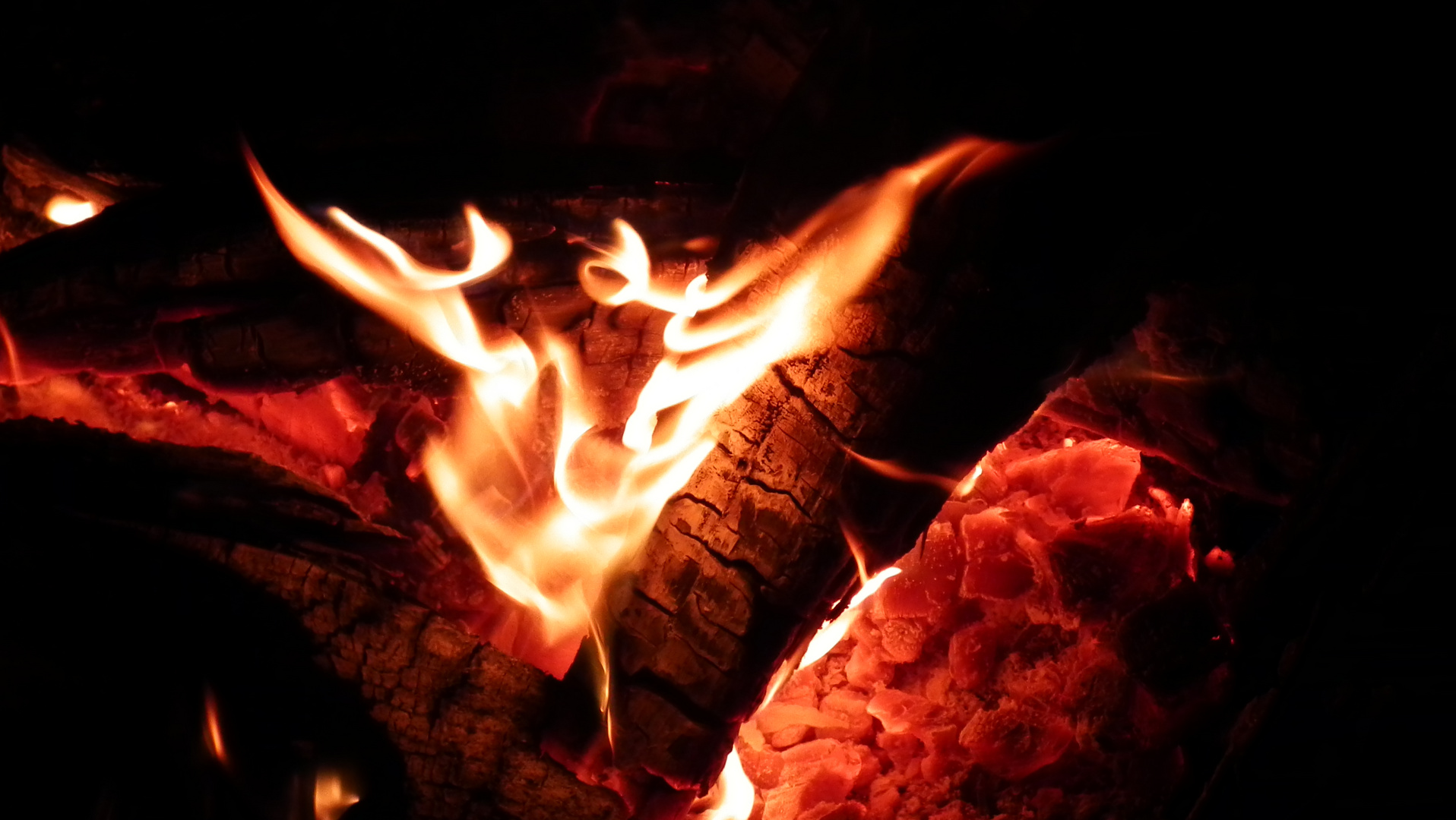 Feuer und Flamme