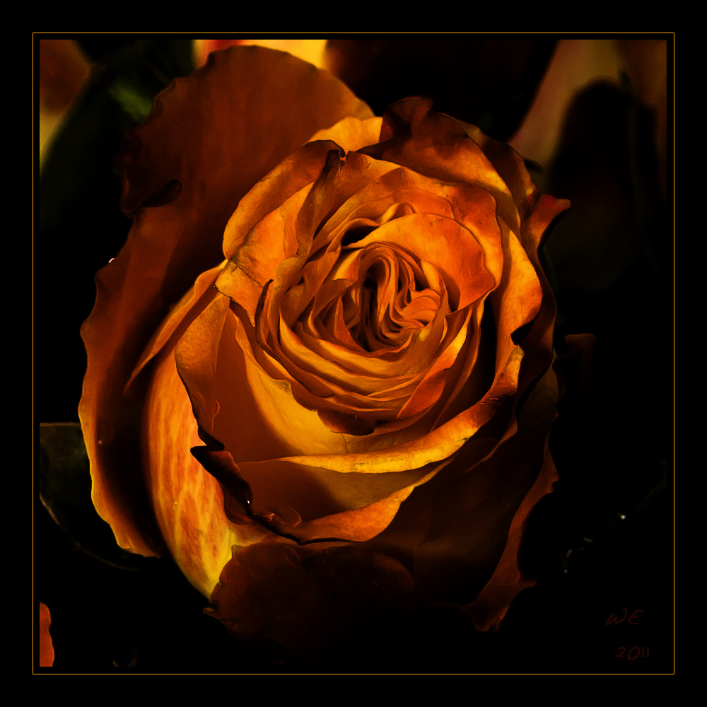 Bilder Mit Feuer Und Flamme