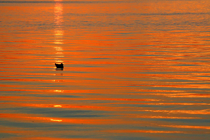 feuer und wasser in der golden hour