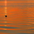 feuer und wasser in der golden hour