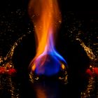 Feuer & Wasser