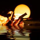 Feuer Wasser Mond