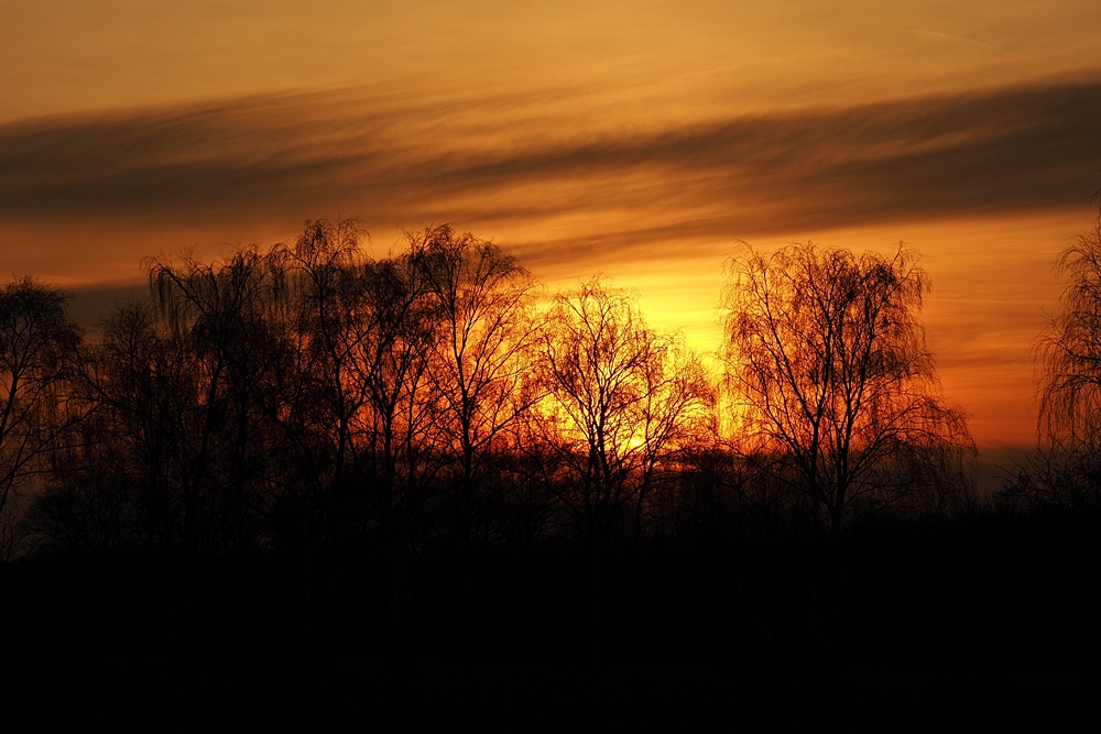 Feuerabend