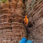 feueranbeter am altschlossfelsen