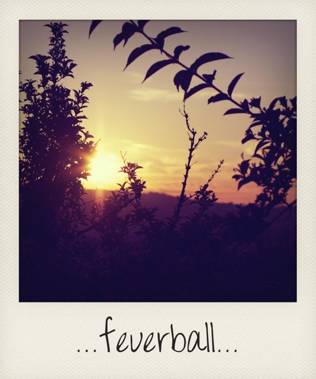 ...feuerball...