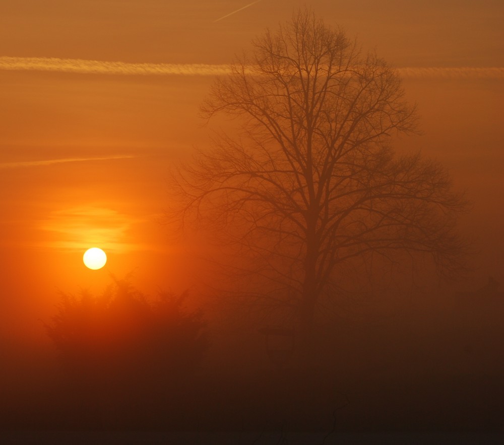 Feuerball im nebel