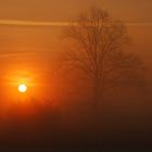 Feuerball im nebel