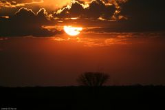 Feuerball in Afrika