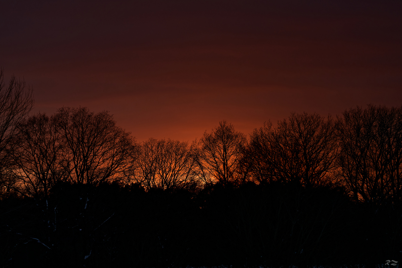 'Feuerband' am Winterwald