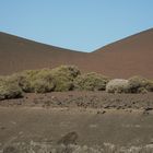 Feuerberge 1 Lanzarote