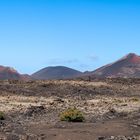 Feuerberge - Timanfaya - Lanzarote