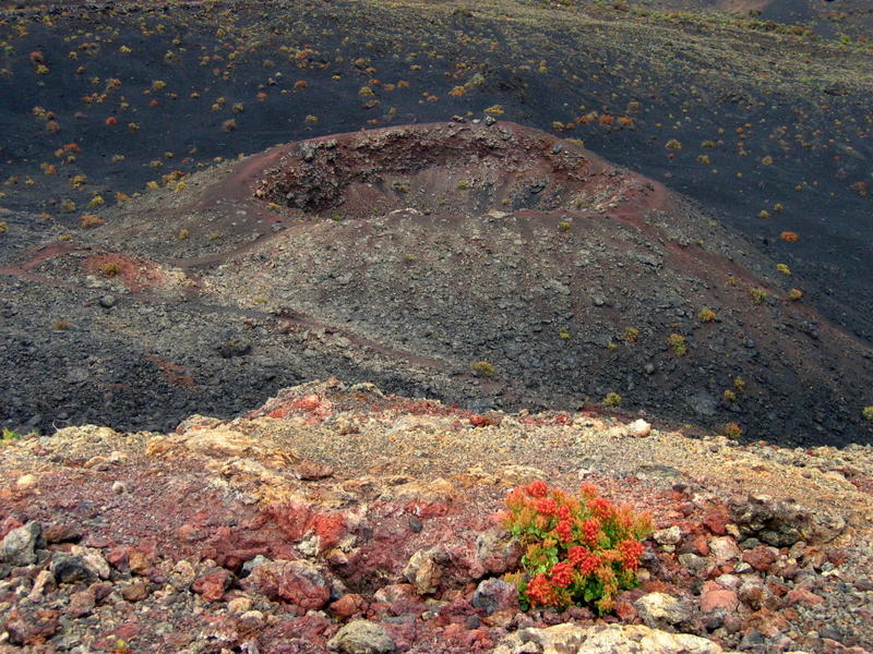 Feuerberge und -kräuter