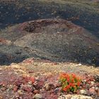 Feuerberge und -kräuter