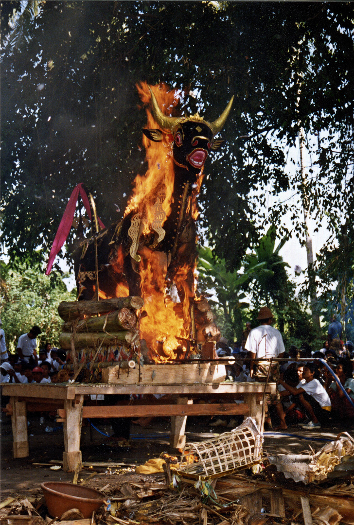 Feuerbestattung "Kremation" auf der Insel Bali