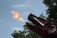 Feuerdrache