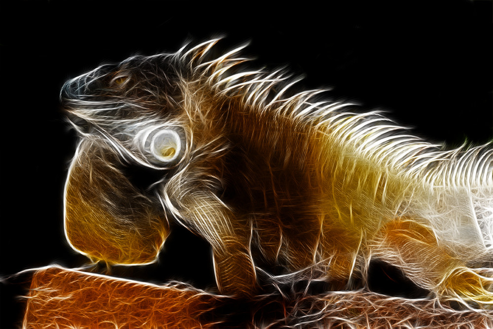 Feuerdrache (Fractalius)