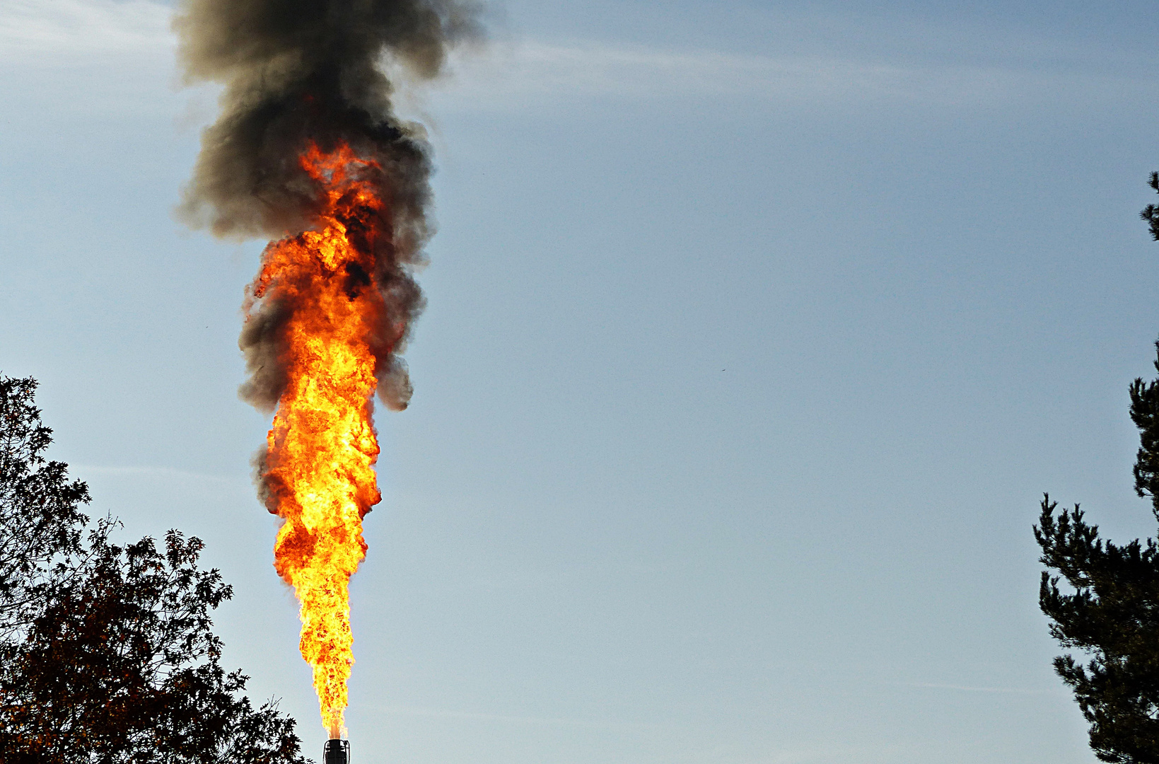 Feuerfackel Foto & Bild deutschland, europe, bayern