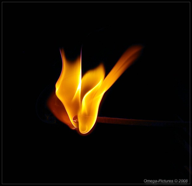 Feuer&Flamme