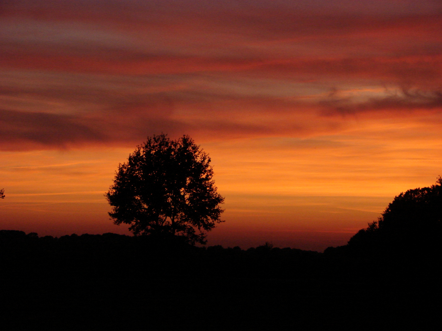 Feuerhimmel