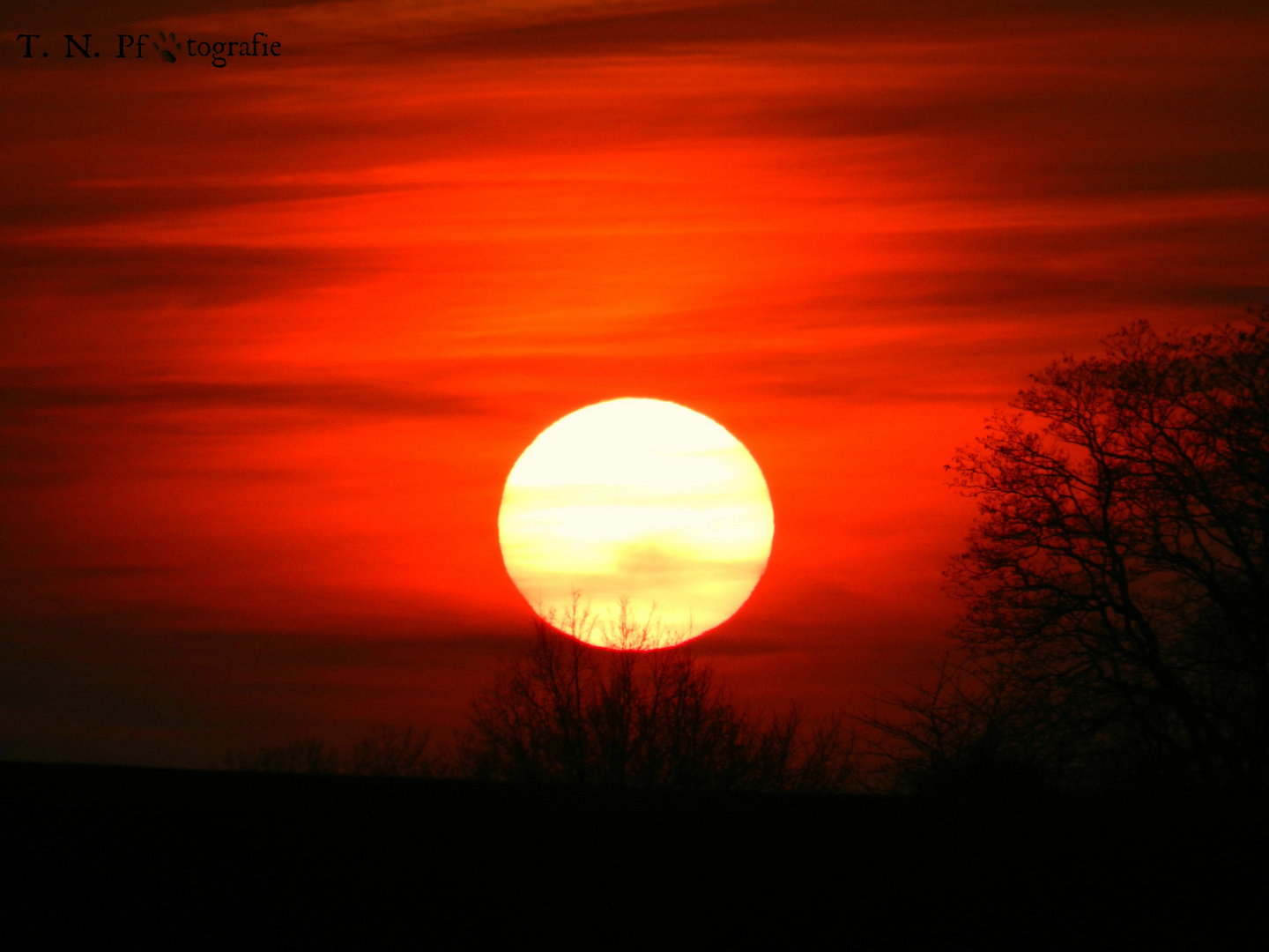 Feuerhimmel