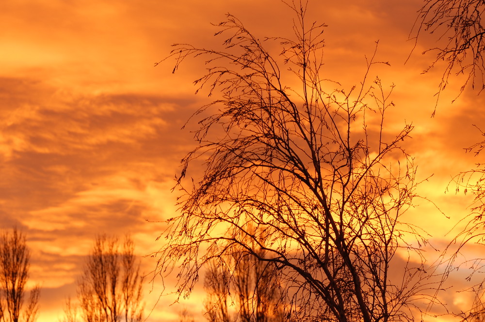 Feuerhimmel