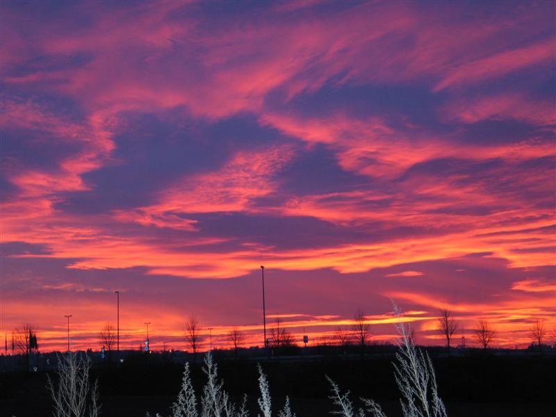 Feuerhimmel im Winter