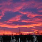 Feuerhimmel im Winter