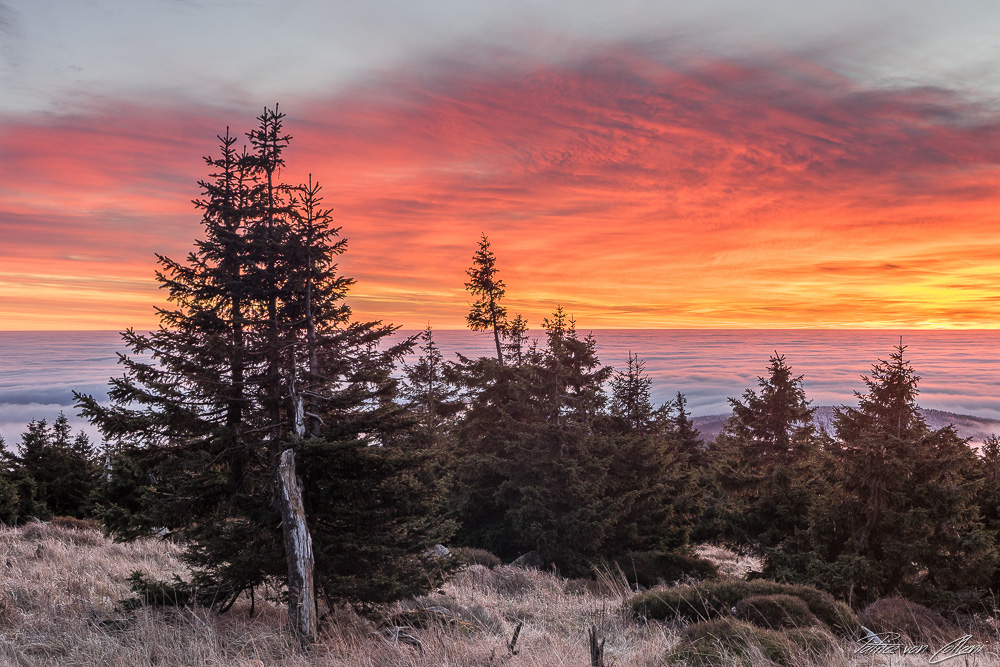 Feuerhimmel über dem Nationalpark Harz