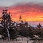 Feuerhimmel über dem Nationalpark Harz