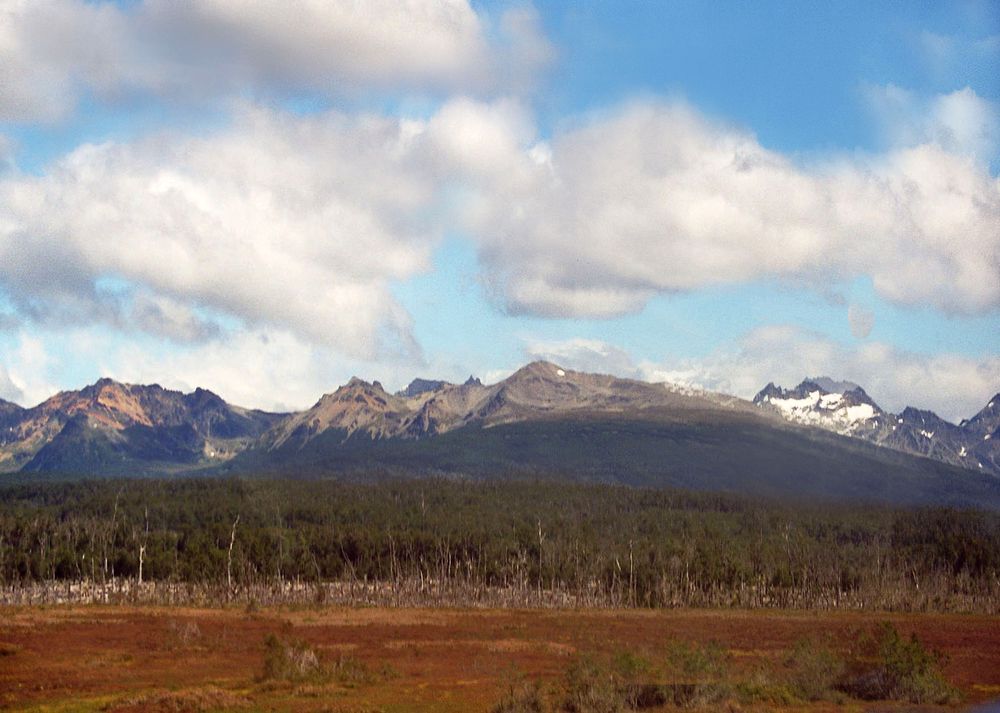 Feuerland , Argentinien