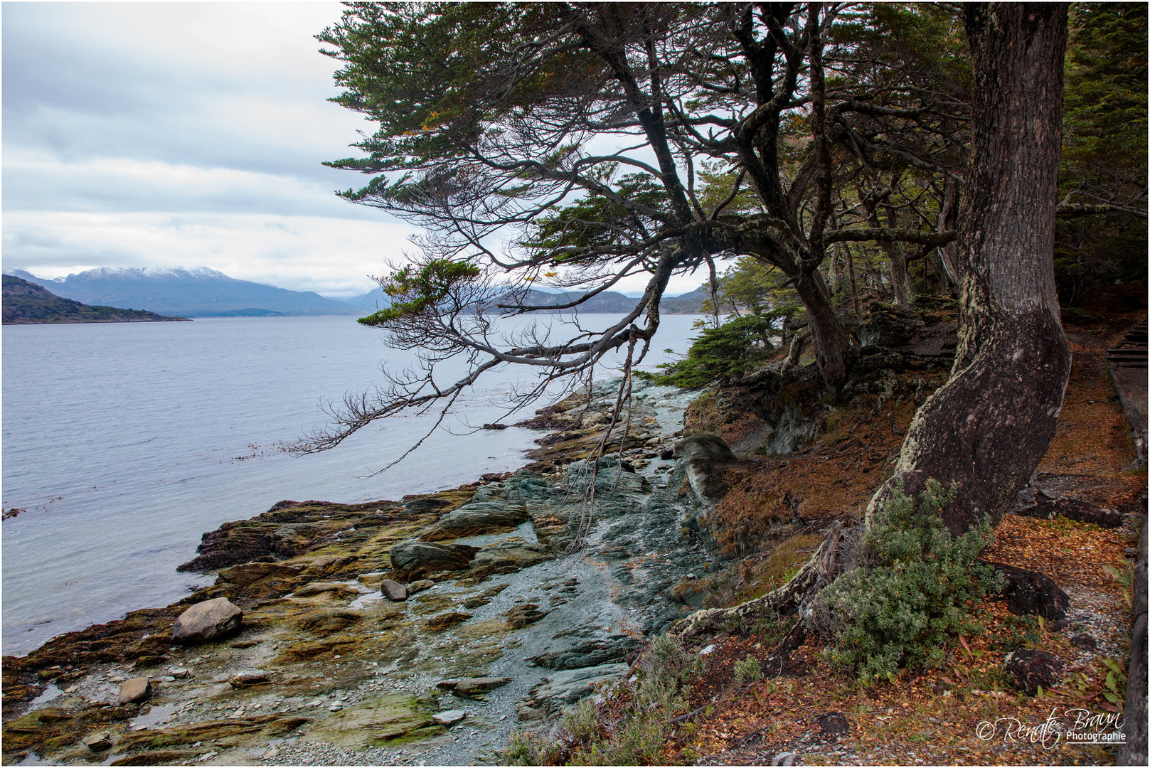 Feuerland "Tierra del Fuego"