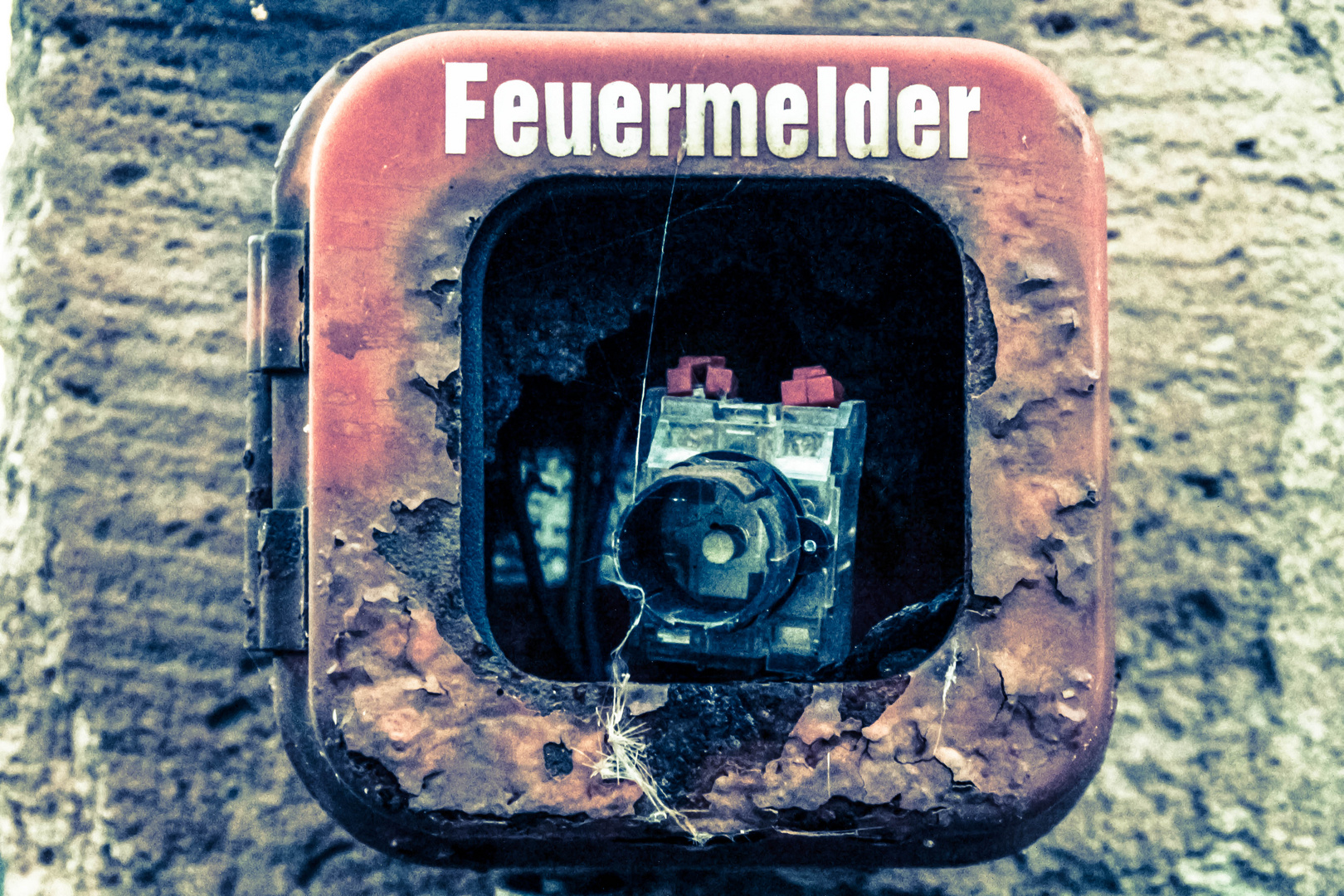 Feuermelder