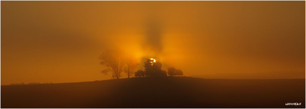 feuermorgen