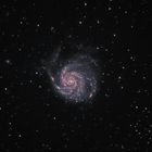   Feuerrad-Galaxie (M101) mit Supernova SN 2023ixf