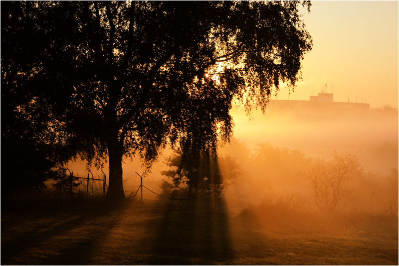 Feuersbrunst am Morgen