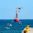 Feuerschiff / Lightvessel ELBE 1