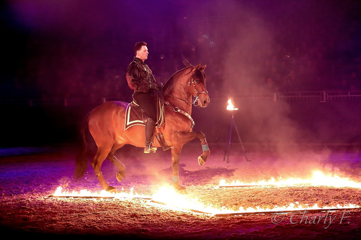 Feuershow auf der Equitana