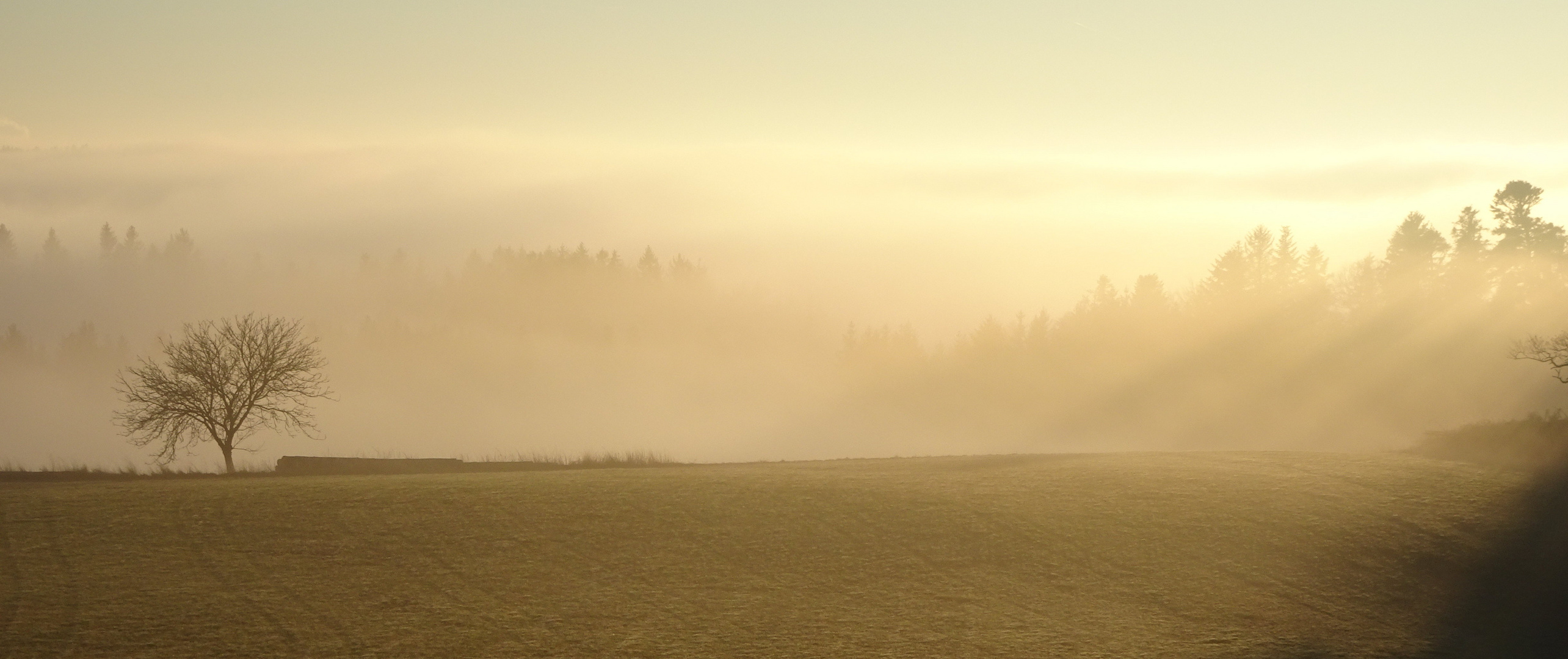 Feuerstelle, Landschaft