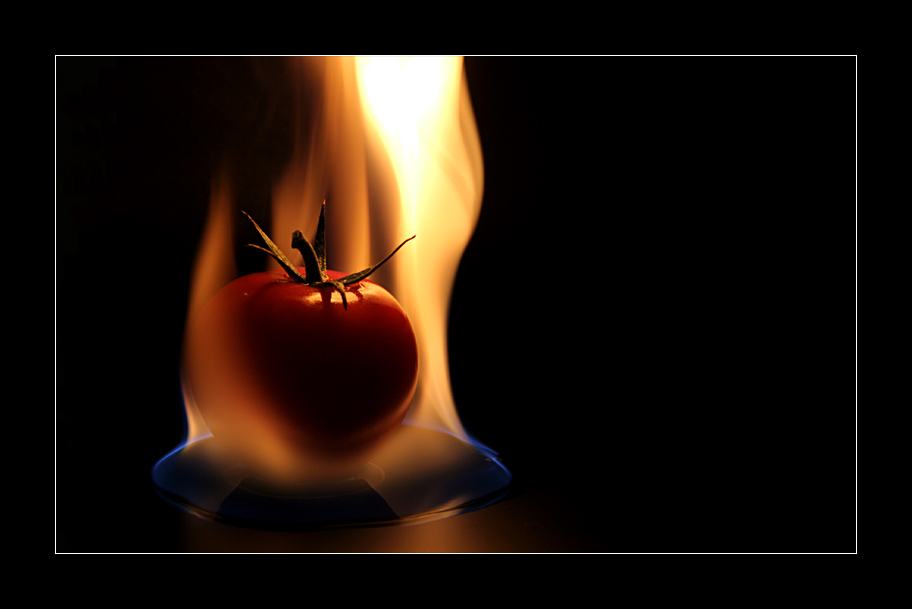 Feuertomate