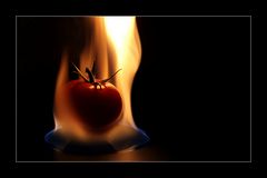 Feuertomate