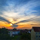 Feuervogel im Sonnenuntergang