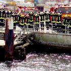 Feuerwehr am Laboer Hafen