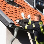 Feuerwehr rettet Katze aus Dachrinne