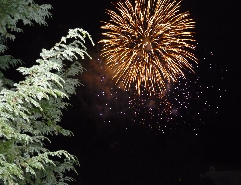 Feuerwerk von Regine Brossmann 