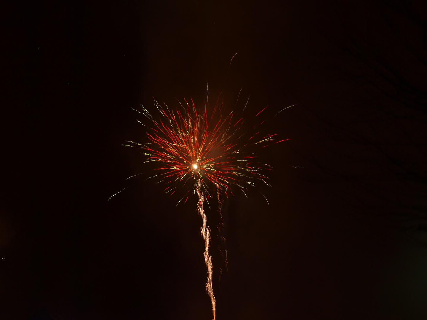 Feuerwerk 2011